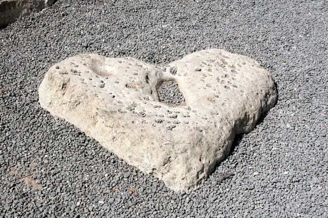 SV. FRANTIŠEK SALESKÝ